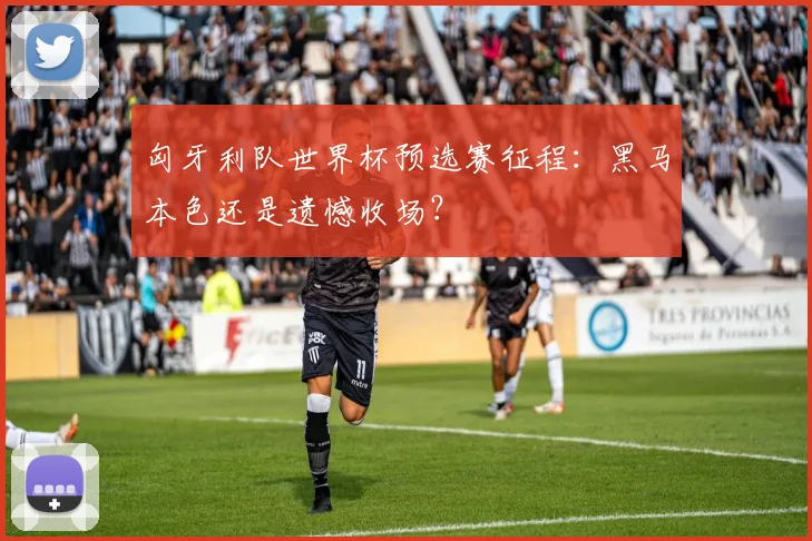 匈牙利队世界杯预选赛征程：黑马本色还是遗憾收场？
