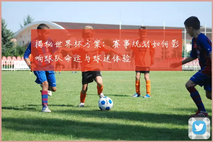 揭秘世界杯方案:赛事规划如何影响球队命运与球迷体验