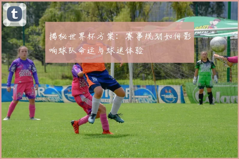 揭秘世界杯方案:赛事规划如何影响球队命运与球迷体验