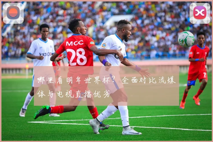 哪里看明年世界杯？全面对比流媒体与电视直播优劣