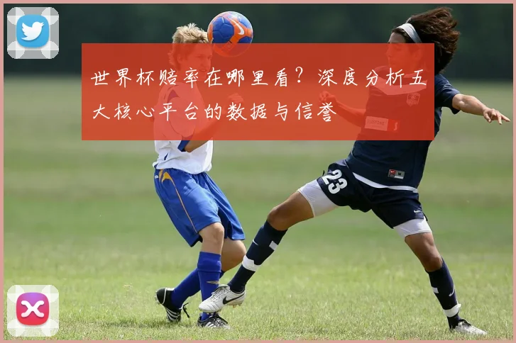 世界杯赔率在哪里看？深度分析五大核心平台的数据与信誉