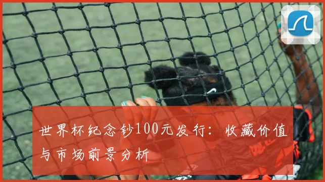 世界杯纪念钞100元发行：收藏价值与市场前景分析